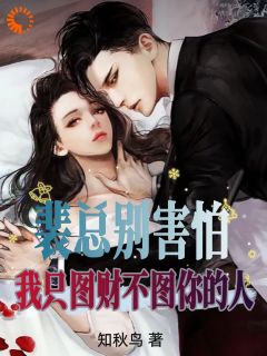 替身带球入局:总裁记忆苏醒后