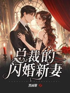 总裁的闪婚新妻