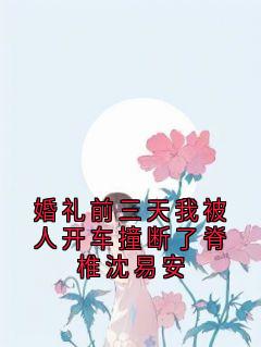 婚礼前三天我被人开车撞断了脊椎沈易安