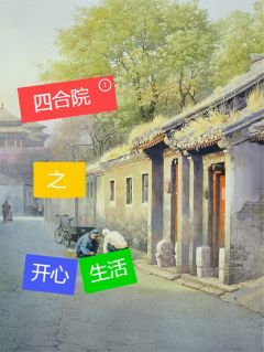四合院之开心生活