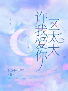 许我爱你,区太太