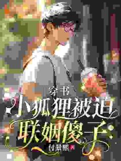 ［穿书］小狐狸被迫联姻傻子