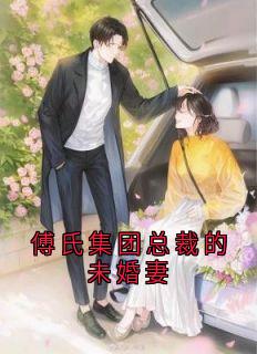 傅氏集团总裁的未婚妻