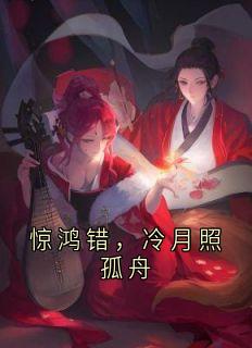 惊鸿错，冷月照孤舟