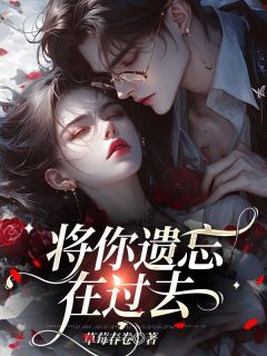 将你遗忘在过去by陆迟孟听岚完整版 陆迟孟听岚小说全集在线阅读