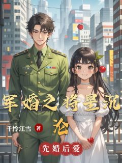 军婚之将星沉沦