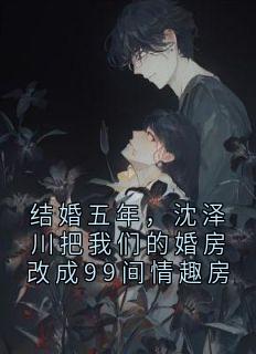 结婚五年，沈泽川把我们的婚房改成99间情趣房