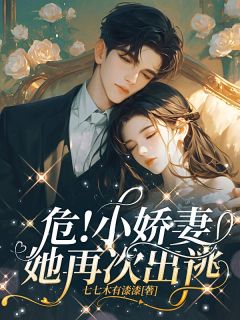 《危!小娇妻她再次出逃》小说全文免费阅读 《危!小娇妻她再次出逃》最新章节列表