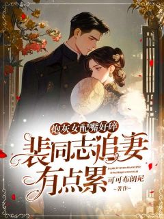 炮灰女配嘴好碎，裴同志追妻有点累