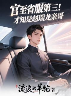 官至省服第三！才知是赵瑞龙亲哥小说全文免费阅读 赵峰孟钰章节目录完整版