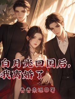 白月光回国后，我离婚了