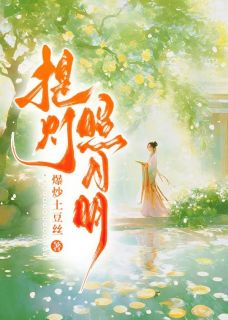 提灯照月明完整版全文阅读 谢危柳念念小说 大结局