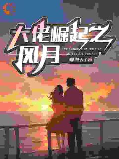 大佬崛起之风月免费试读 李非张晓岚小说章节目录