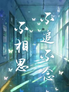 《不追不念不相思》小说完结版精彩试读 叶薰云鹤安小说全文