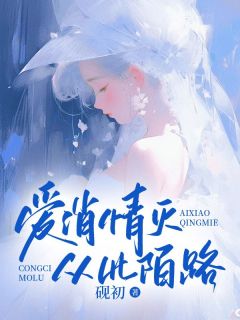 《爱消情灭,从此陌路》林清歌傅沉章节列表免费试读