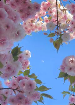 爱恨消散，你我两清