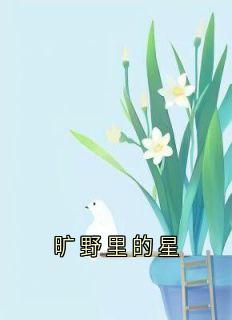 《旷野里的星》小说章节列表免费阅读 徐枳烟沈辞傅延小说全文