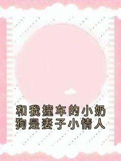 和我撞车的小奶狗是妻子小情人