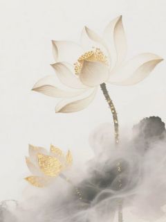 二婚肥妻养成记