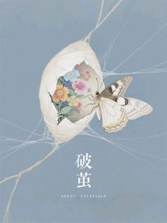 破茧新生