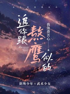 《追你跟熬鹰似的》小说免费阅读 《追你跟熬鹰似的》最新章节列表