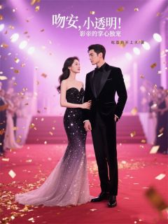 吻安，小透明！影帝的掌心独宠免费阅读 苏晚晴顾靳言在线阅读