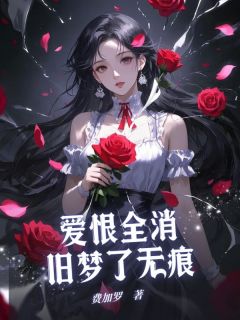 《爱恨全消，旧梦了无痕》司锦年林见语章节目录在线阅读