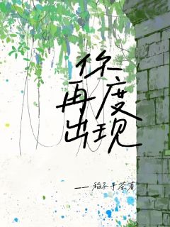 你再度出现小说精彩章节免费试读(主角书韵周泊序)