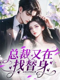 总裁又在找替身