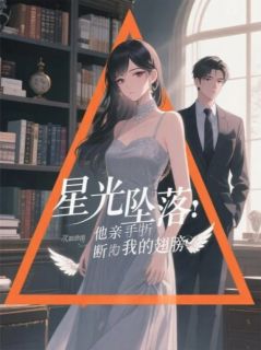 星光坠落:他亲手折断我的翅膀