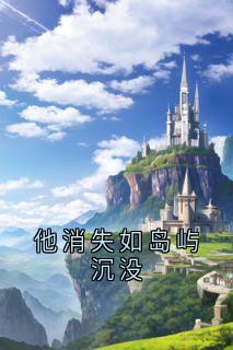 他消失如岛屿沉没