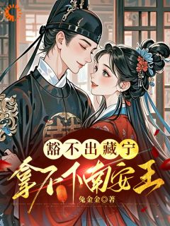 豁不出藏宁，拿不下南安王