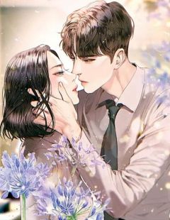 时光如雪，覆盖一切