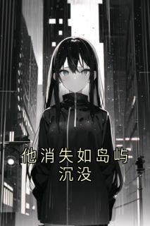 他消失如岛屿沉没