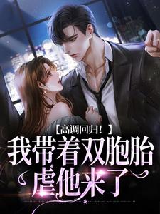 开局离婚:偏执总裁追妻难