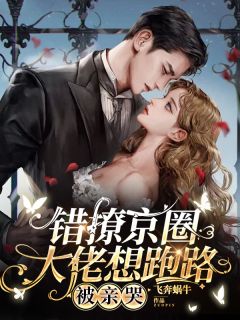 错撩京圈大佬想跑路,被亲哭