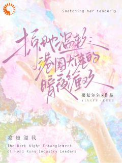 掠她温软：港圈大佬的暗夜缠欢