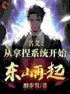 名义:从拿捏系统开始东山再起