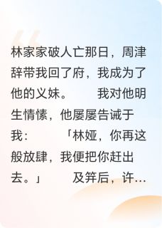 嘴硬太傅追妻路