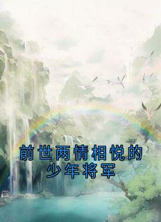 前世两情相悦的少年将军