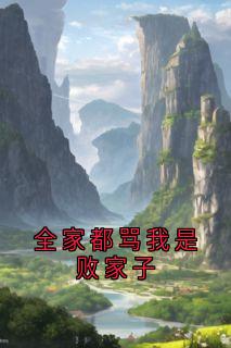 全家都骂我是败家子