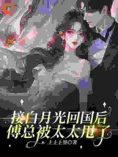 接白月光回国后，傅总被太太甩了