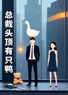 总裁头顶有只鸭