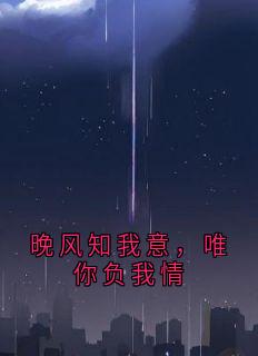 晚风知我意，唯你负我情