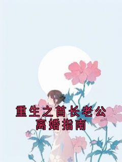 重生之首长老公离婚指南