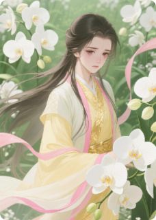 冷面侍卫的小郡主