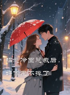 招惹冷面总裁后,好像甩不掉了