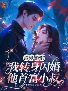 闪婚豪门大佬后,我成渣男婶婶了