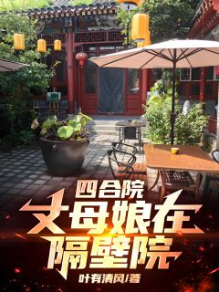 《四合院:丈母娘在隔壁院》小说完结版在线试读 林阳林月叶倾城小说阅读