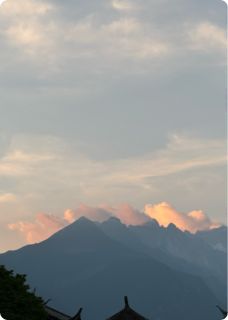 《假死丈夫?我让他真死!》顾承安白月莲顾婷婷完结版免费阅读